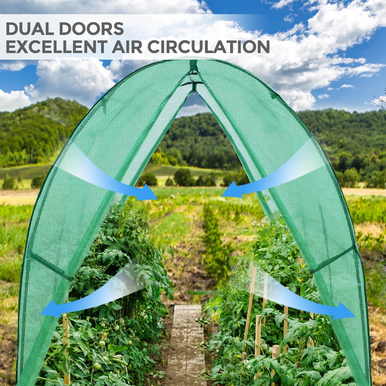 70.9"x70.9"x78.7" Tunnel Greenhouse