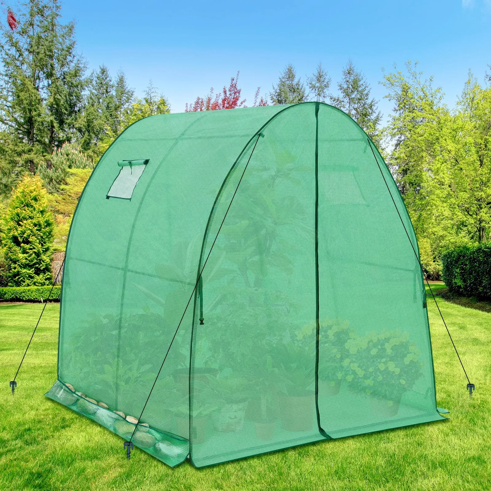 70.9"x70.9"x78.7" Tunnel Greenhouse
