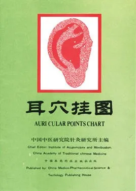 Auricular Points Chart Ear Accupunture Pionts